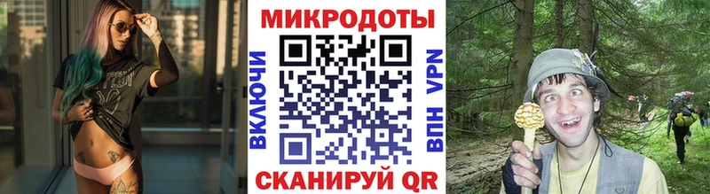 Псилоцибиновые грибы мицелий Воткинск